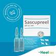 Sascupreel ad us.vet.Ampullen - 8