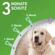 FRONTLINE COMBO® gegen Zecken, Fl&ouml;he bei Hunden XL (40-60 kg) - 4