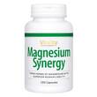 Magnesium Synergy Komplex Glycinat Malat &amp; Citrat - 1