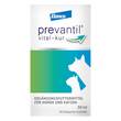 Prevantil vital-kur Suspension f&uuml;r Hunde / Katzen - 1