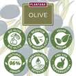 Plantana Olive Pflege Duschbad mit Bio-Olive - 3