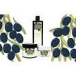 Plantana Olive Gesichtscreme Hyaluron &amp; Vitamin-E - 5