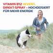 Vitamin B12 Hevert Direkt-Spray - 2