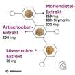 Mariendistel Komplex Artischocke + L&ouml;wenzahn veg.Kps - 3