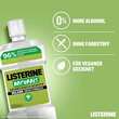 Listerine Naturals Zahnfleisch-Schutz Mundsp&uuml;lung - 4