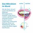 Nupure probadent lemon Mundflora Probiotikum Lutschtabletten - 4