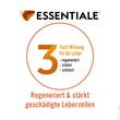 Essentiale Kapsel 300 mg - 8