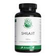 Green Naturals Shilajit 1300 mg hochdos.vegan Kapseln  - 1