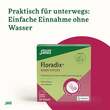 Floradix Eisen Sticks Pulver Salus - 4