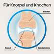 Dr. B&ouml;hm Knorpel &amp; Knochen Tabletten - 3