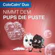 Colocalm Duo Filmtabletten - 8