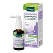 Kneipp Ashwagandha Entspannung Spray - 1