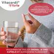 Vitacardil Forte mit Thiamin Kapseln  - 4
