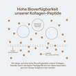 Vital Proteins Collagen Peptides Kakao Pulver - 7