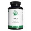 Green Naturals Dao 100mg veg.zum Histaminabbau Kps - 1