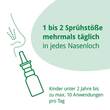 Rhinoguttae Neo Nasenspray - 6