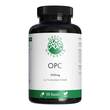 Green Naturals OPC 1000mg aus Traubenkern-Extr.Kps - 1