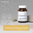 Moleqlar Longevity Spermidin pro Kapseln - 2