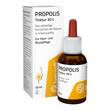 Beecraft Propolis Tinktur 30% - 1