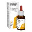 Beecraft Propolis Tropfen 55% plus Echinacea - 1