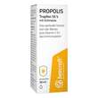 Beecraft Propolis Tropfen 55% plus Echinacea - 2