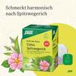 Cistus Spitzwegerich Tee Bio Filterbeutel - 4