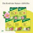 Cistus Spitzwegerich Tee Bio Filterbeutel - 5