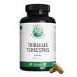 Green Naturals Tribulus Terrestris 2250 mg veg.Kps - 1