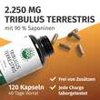 Green Naturals Tribulus Terrestris 2250 mg veg.Kps - 2