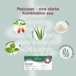 Pascosan Reizdarm Ibs-3 Tabletten - 4