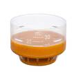 Salus Darm-Care Curcuma Bioaktiv Tonikum - 2