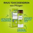 Rhus Toxicodendronicodendron D 6 Globuli Pfl&uuml;ger Globulisp. - 2
