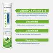 Dr. Theiss Elektrol&uuml;te Vital Brausetabletten - 2
