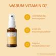 Dr. Theiss Vitamin D3 Direkt-Spray 2000 I.E. - 3