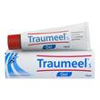 Traumeel S Gel - 1