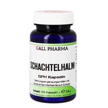 Schachtelhalm GPH Kapseln 60 St