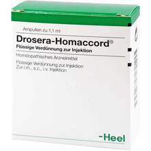 Drosera Homaccord Ampullen 100 St