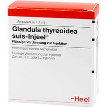 Glandula Thyreoidea suis Injeel Ampullen 100 St