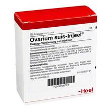 Abbildung: Ovarium Suis Injeel Ampullen 10 St, Ampullen PZN 00756324 