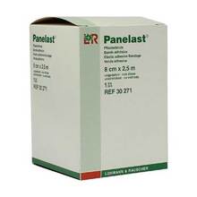 Panelast Pflasterbinde 2,5mx 1 St