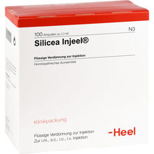 Silicea Injeel Ampullen 100 St