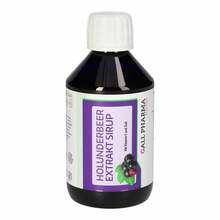 Holunderbeerextrakt Sirup 250 ml