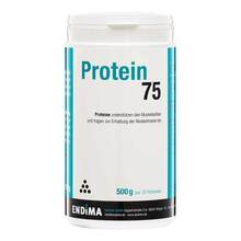Protein 75 Erdbeer Pulver 500 g