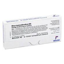 Abbildung: Rhus toxicodendron D 6 Ampullen 8X1 ml, Ampullen PZN 01625877 
