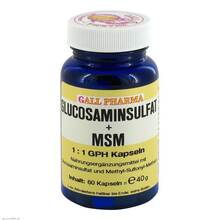 Abbildung: Glucosaminsulfat + MSM 1:1 Kapseln 60 St, Kapseln PZN 02888372 