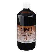 Sepso J Lösung 1000 ml