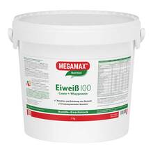 Eiweiss 100 Vanille Megamax 5000 g