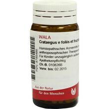 Crataegus E Fol et fructibus D 20 g