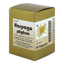 Harpagophytum Bioxera Kapsel 60 St