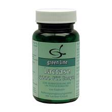 Lactase 4000 FCC Enzym Kapseln 100 St